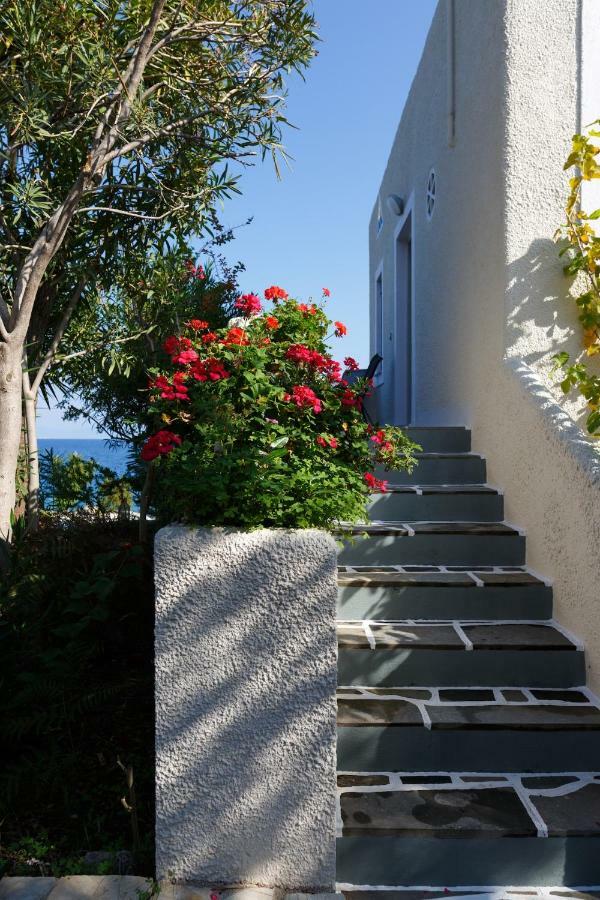 Into The Blue Villa Arkadiko Chorio エクステリア 写真